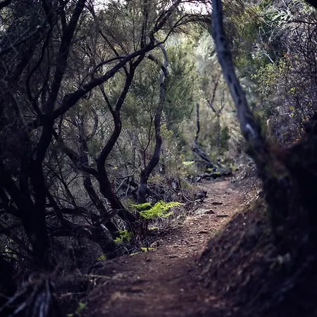דירה Ad Alberto Dorner - Modern איקוד דה לוס וינוס